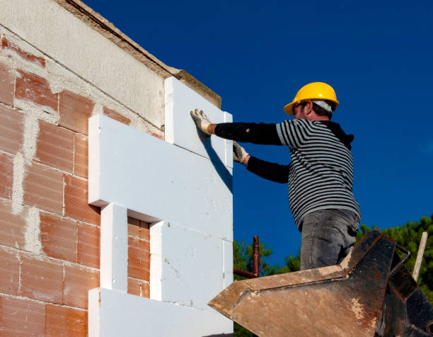 Best Spray Foam Insulation in Locust Grove, GA