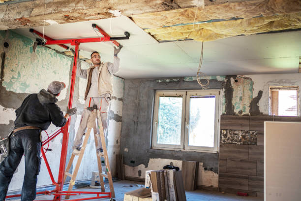 Best Eco-Friendly Insulation in Locust Grove, GA