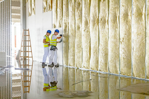 Types of Insulation We Offer in Locust Grove, GA